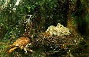 bruno liljefors tornfalk vid boet med ungar oil painting reproduction